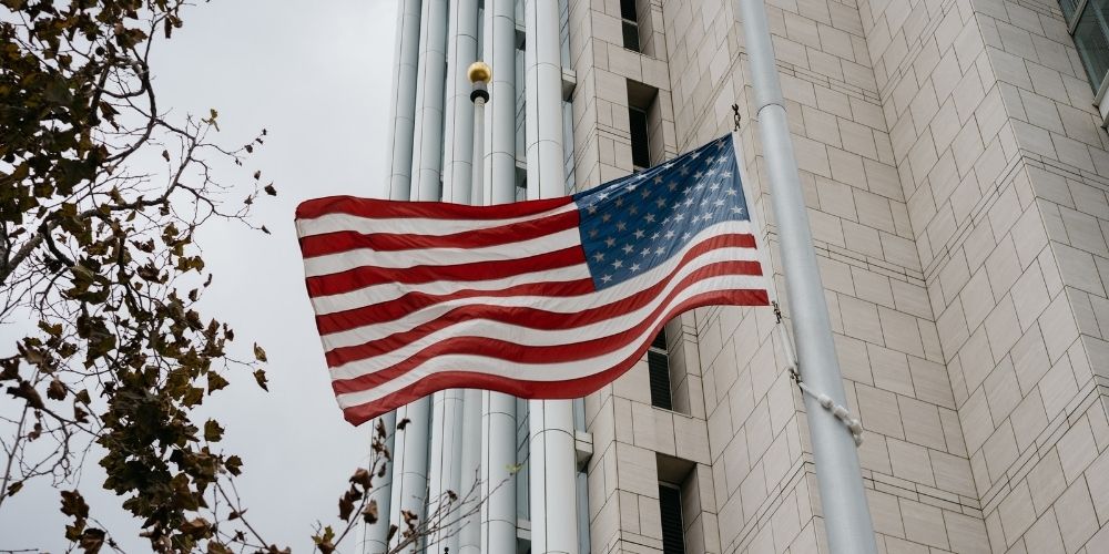 USPTO Report 2020